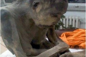 Mumi Rahib Dalam Posisi Meditasi